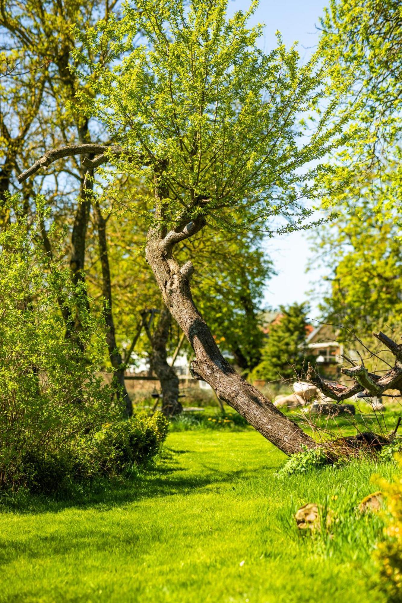 Solbjerggaard Bed & Breakfast Faborg Bagian luar foto