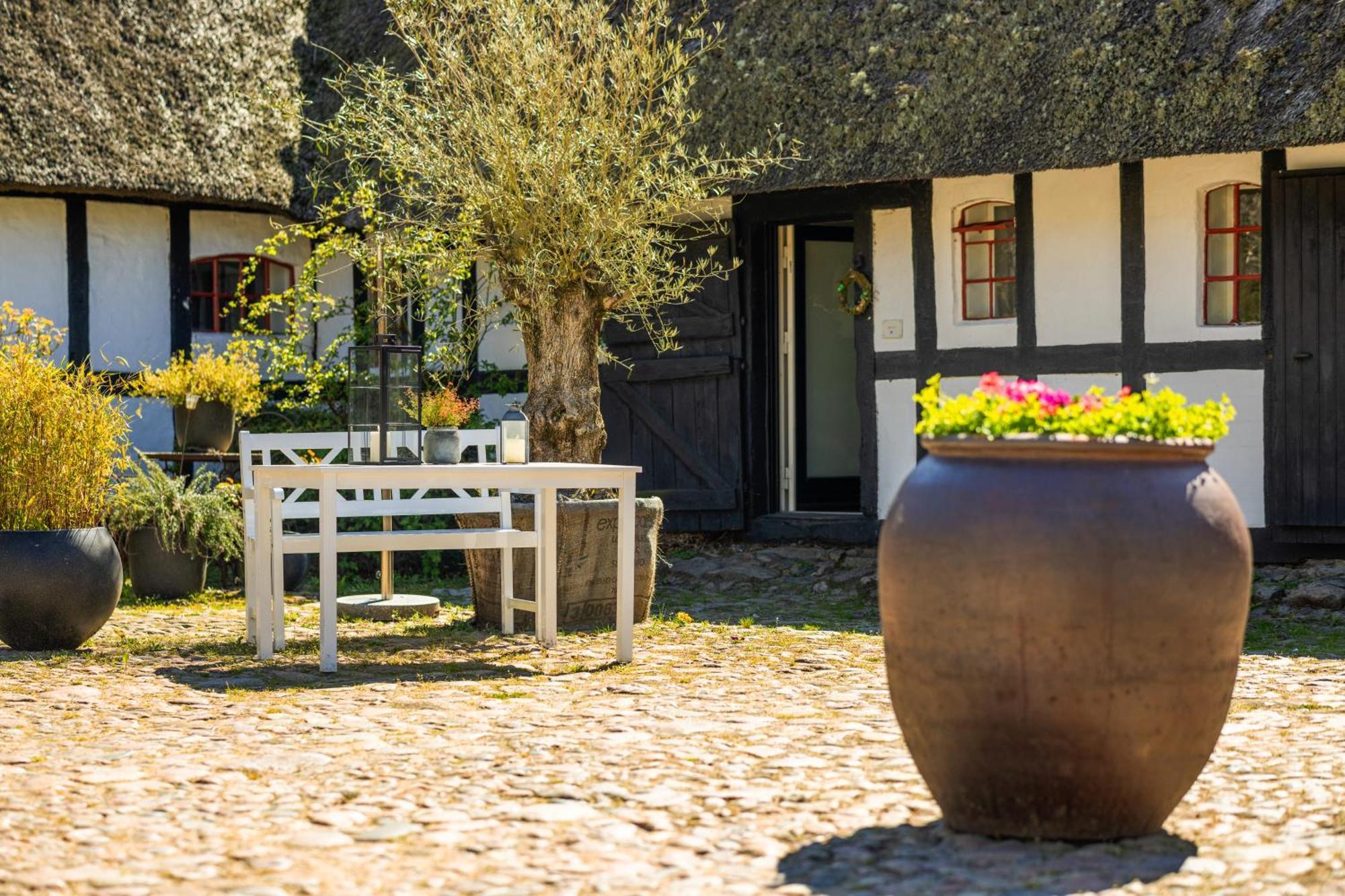 Solbjerggaard Bed & Breakfast Faborg Bagian luar foto